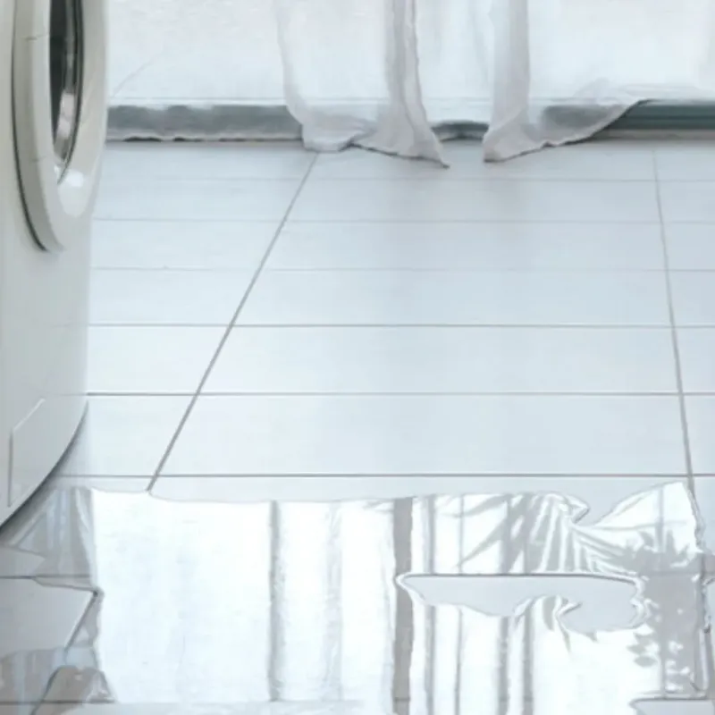 Appliance Leak Cleanup in Val Verde, CA
